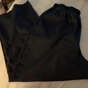 Adeline by Alfred Dunner size 18W woman’s pants